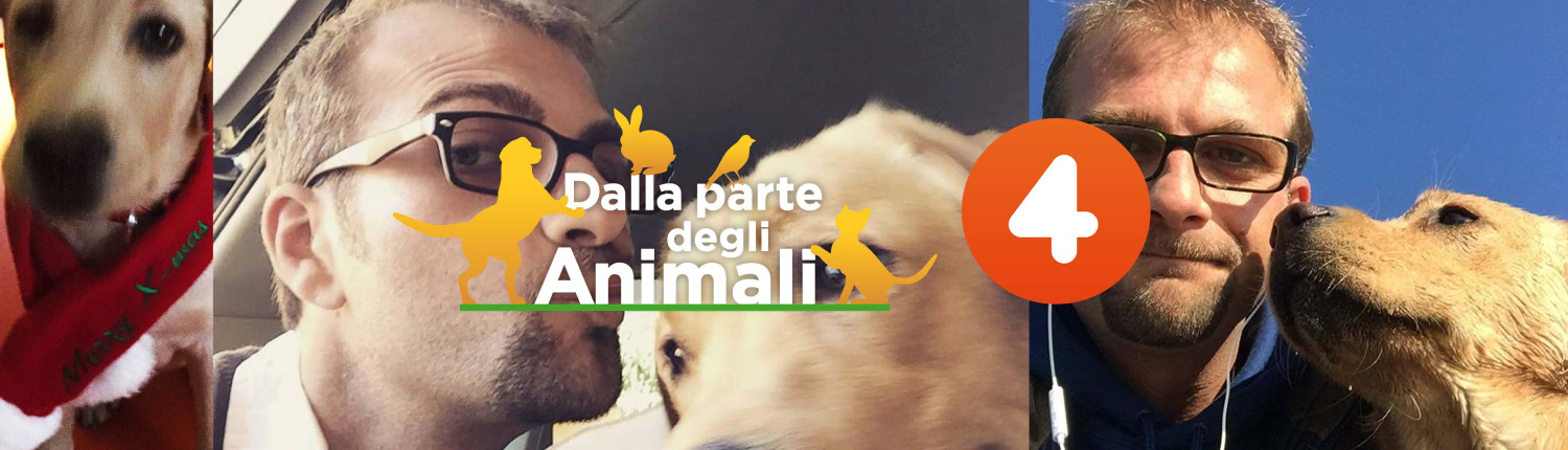 Dario Nuzzo - Work - Autore per il programma televisivo Mediaset Dalla Parte degli Animali, in onda su Rete 4