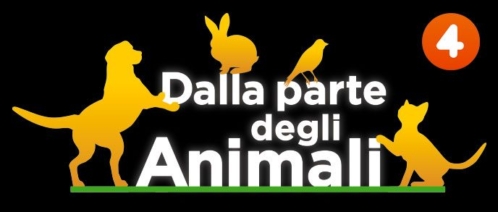 Dario Nuzzo - Work - Collaborazione autoriale per il programma Mediaset in onda su Rete 4 Dalla parte degli animali